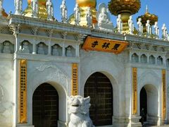 -上海东林寺(金山区)