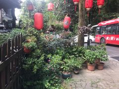 -国生茶庄·地道农家菜团建活动
