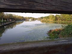 -艾溪湖湿地公园