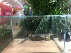 -凯德广场(学府店)