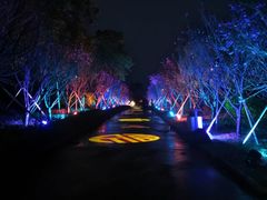 -天适樱花悠乐园
