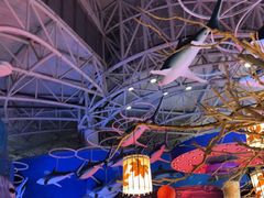 -烟台海昌鲸鲨海洋公园