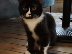 -么么咖啡(燕郊店)