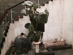 iphone_upload_pic-扬州狮子楼·非遗淮扬菜(总店)