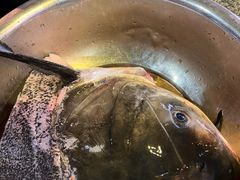 -好灶头妈妈菜·千岛湖土菜地标美食