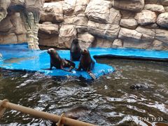 -华夏文旅海洋公园