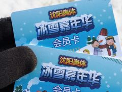 -沈阳奥体冰雪嘉年华