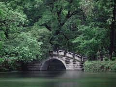 -青龙山国家森林公园