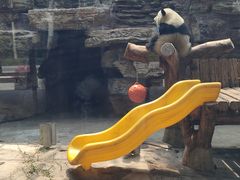 -石家庄市动物园