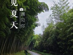 -杭州植物园