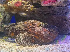 -海合安青岛极地海洋公园