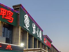 -紫光园(马桥店)