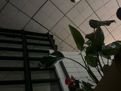 -郑州新郑国际机场-T2航站楼