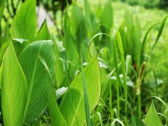 -众神白水涧景区