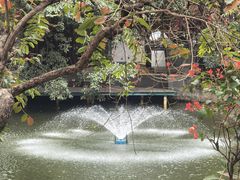-荔湾湖公园