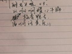 -南山酒肆(南山董事绘店)