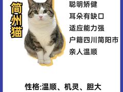 -翊宠yipet猫狗购宠庄园犬舍•猫舍