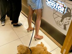 -茶颜悦色(银盆岭万达广场店)