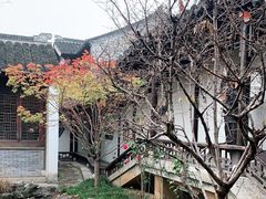 -芥子园