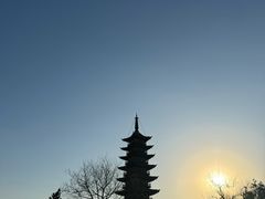 -上海方塔园