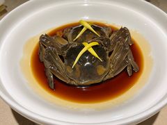 醉蟹-成隆行·蟹王府(九江路店)