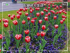 -外滩