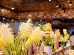 -地中海传奇水汇