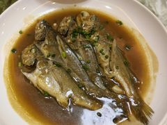 小黄鱼-温岭人家(红花北路店)