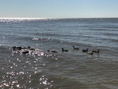 -农垦当壁镇兴凯湖旅游度假区