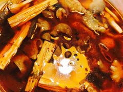 金良招牌肥肠鱼-金良酸菜鱼(宁海路总店)