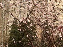-北京保利大厦酒店(东四十条地铁站店)