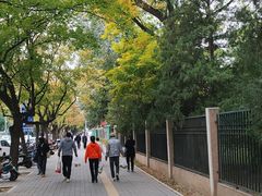 -申德勒加油站西餐厅(日坛路总店)