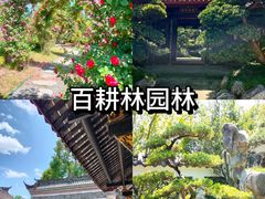 -老鼎万春卤菜(五代传承创始老店)