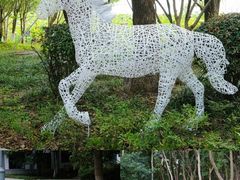 -金鸡湖桃花岛