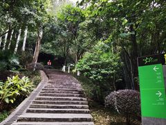 -火炉山森林公园