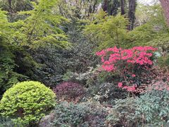 -浙江西子宾馆·瑶园咖啡厅