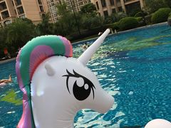 -上海浦东星河湾酒店