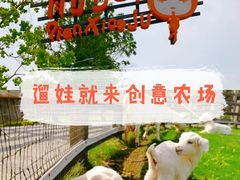 -前小桔亲子创意农场·草莓采摘·露营烧烤