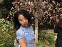 -上海青龙寺