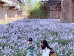 -长白岛森林公园