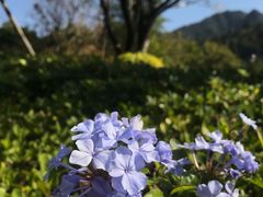 -南丹山森林王国