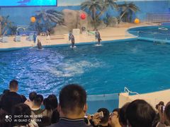 -泉城欧乐堡海洋极地世界