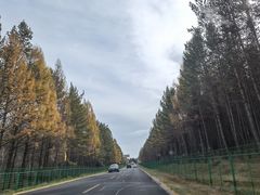 -塞罕坝国家级自然保护区