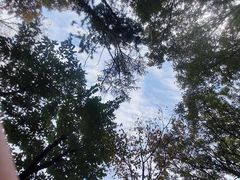 -沂蒙山旅游区云蒙景区(蒙山国家森林公园)