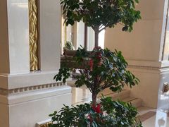 -碧中海汤泉汗蒸酒店