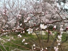 -汉长安城未央宫国家考古遗址公园