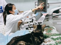 -达爱动物医院·犬猫分区·CT·复杂眼科(远洋山水分院)