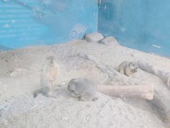 -无锡动物园·太湖欢乐园