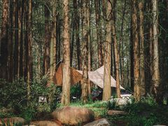 -上海共青森林公园