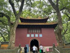-普陀山风景名胜区-法雨禅寺